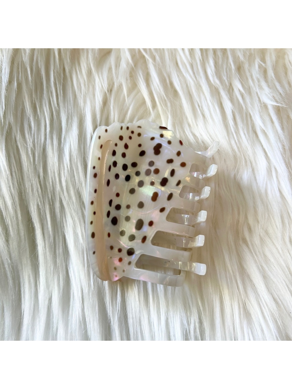 Hawaiian Flea Cone Shell Claw Clip Seashell Hair Clip